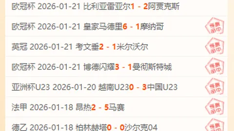 印尼归化球员罗梅尼首战破门庆祝激动，克鲁伊维特见证精彩时刻。